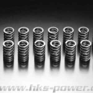 AKTIONSPREIS HKS Ventilfedern für den Mitsubishi Evo 1-9 4G63T 22001-AM001