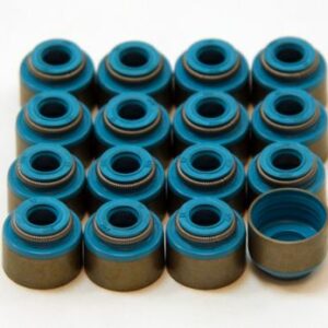 GSC Ventilschaftdichtungen für Mitsubishi Evo 1-9 4G63T