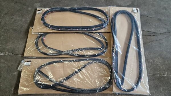 Alle 4 Türdichtungen neu für Mitsubishi Evo 4-6 CP9A CN9A